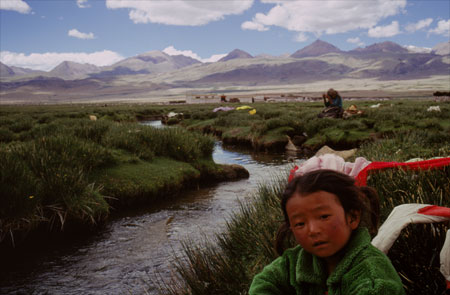 By a Mountain Stream