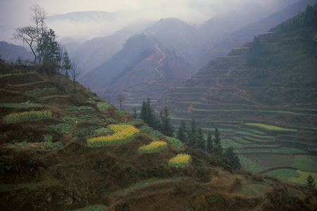 On Route Southeast GuiZhou