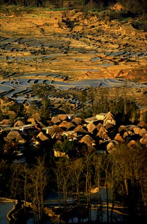 Village Morning